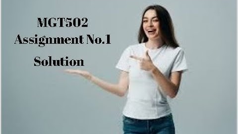 MGT502 Assignment No 1 Solution