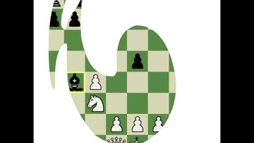 Overview to 1...e5 | Learn to play the English 1