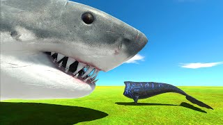 Aquatics Battle - Baby Bloop VS Giant Megalodon - Animal Revolt Battle Simulator