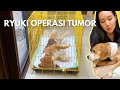 Ryuki operasi pengangkatan tumor di leher nya