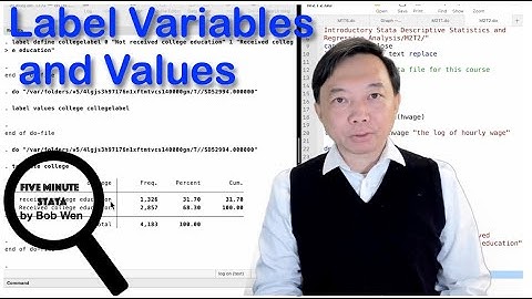 Label Variables and Values | Data Management Using Stata | Stata Tutorials Topic 26