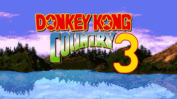 Missing Monkey Mystery - Donkey Kong Country 3 Dixie Kong