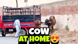 Allhumdulillah aj janwar ghar agya😍full athra😱