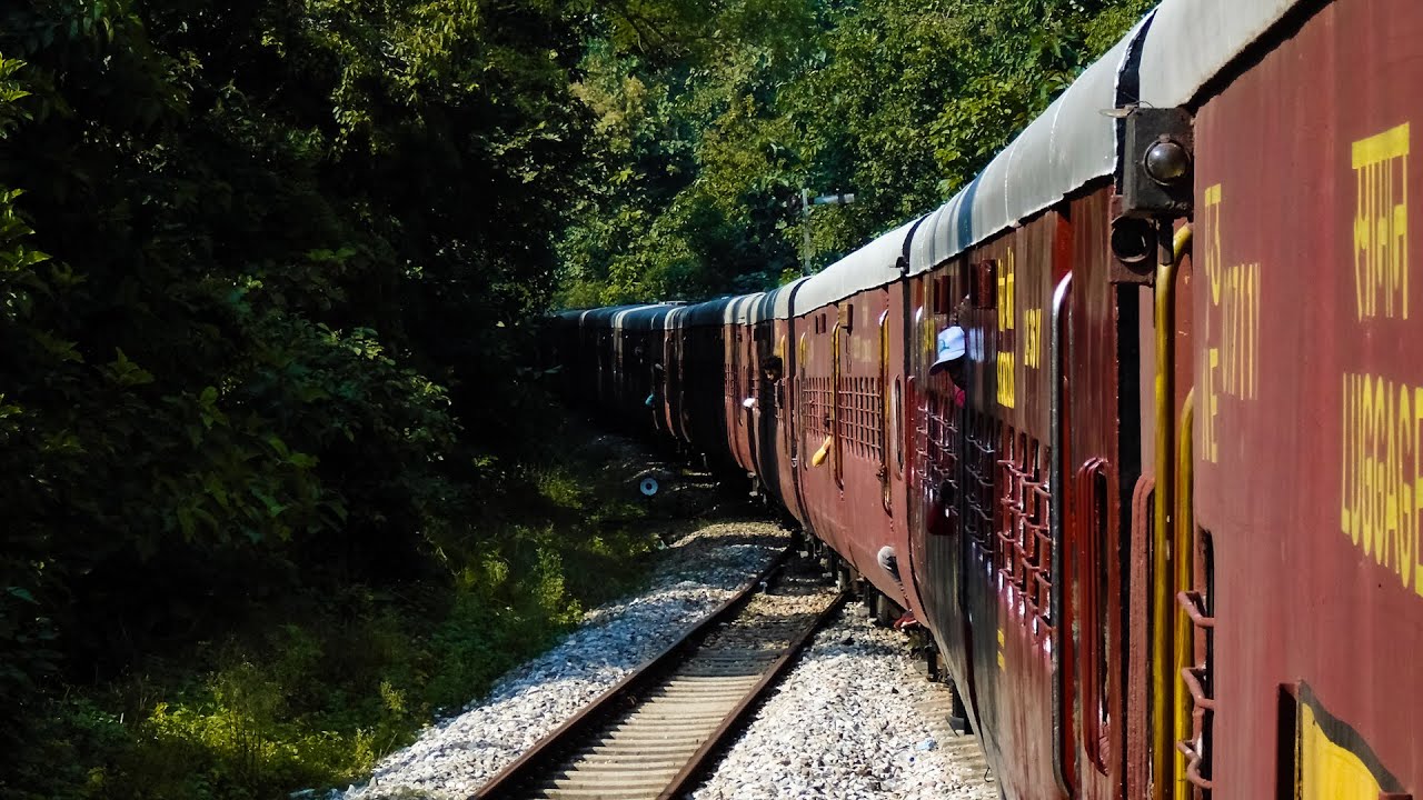 Metre Gauge Train Journey through India's Wildlife Paradise : Dudhwa Tiger Reserve