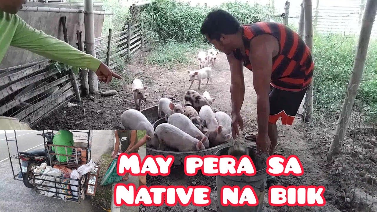 MAY PERA SA NATIVE NA BIIK - YouTube