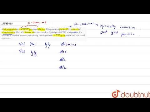 Video A tetrapeptide has `-COOH` group on alanine. This... - youtube