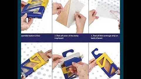 moth traps instructions