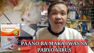 PARVO VIRUS IN DOGS / Home Remedy and Treatments For Parvo Virus