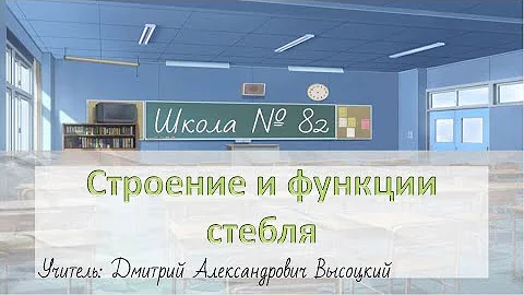 Строение и функции стебля растений. Учитель: Д. А. Высоцкий