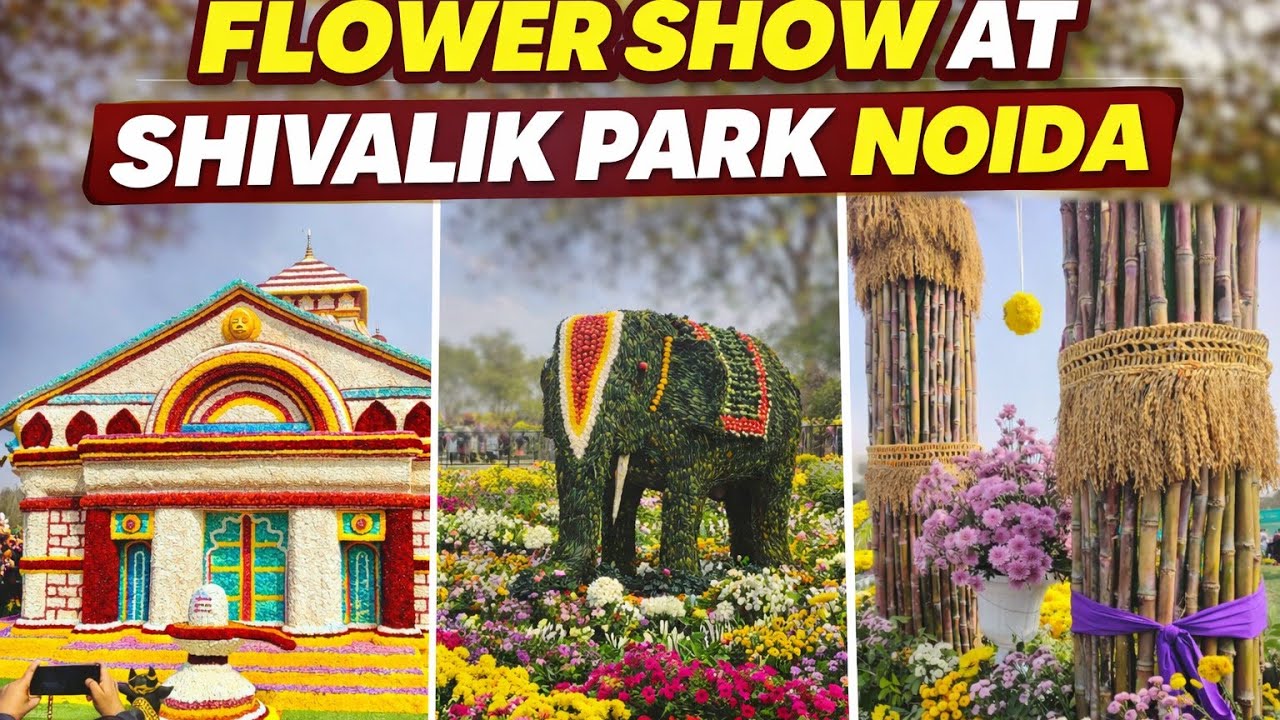 Flower show Shivalik park Noida #flowers #noida #studentlife #delhi #park #show #vlog 