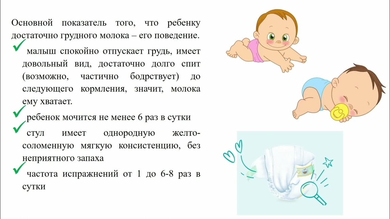 График кормления грудничка. Грудное вскармливание новорожденных по часам. Прикладывание новорожденного. График кормления ребенка до года. Памятка принципы грудного вскармливания.