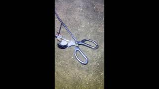 LIVE🔴-I catching seafood on the seafloor. Look what I caught.-Z1104-5#fishing #ocean #deepsea #beach