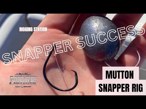 Mutton snapper rig, rigging for mutton 2024