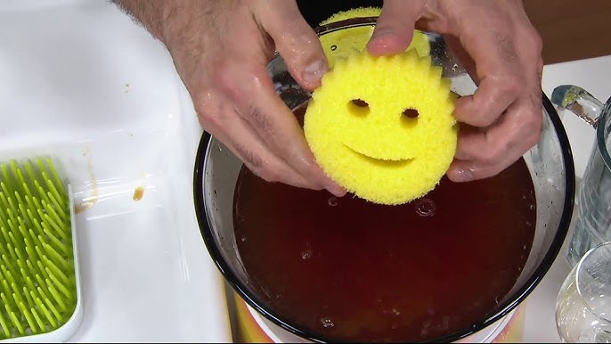 Scrub Daddy: What makes these sponges so special?