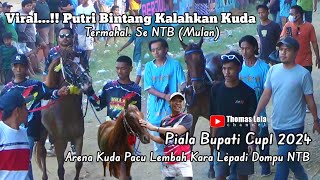 Viral...!! Putri Bintang Hebohkan Lepadi Dompu || Kalahkan (Mulan) Kuda Termahal Se NTB