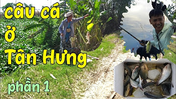 [Phần 1] Hai anh em câu cá ngày mưa bão ở đồng Tân Hưng và cái kết...