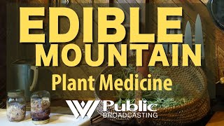 Edible Mountain: Plant Medicine