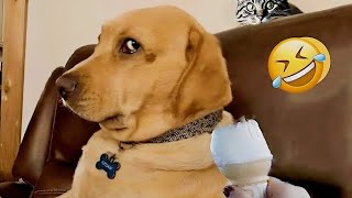 TRY NOT TO LAUGH 😆 Best Funny Videos Compilation 😂😁😆 Memes PART 123 by Yuppy Pets 18 views 4 months ago 14 minutes, 17 seconds