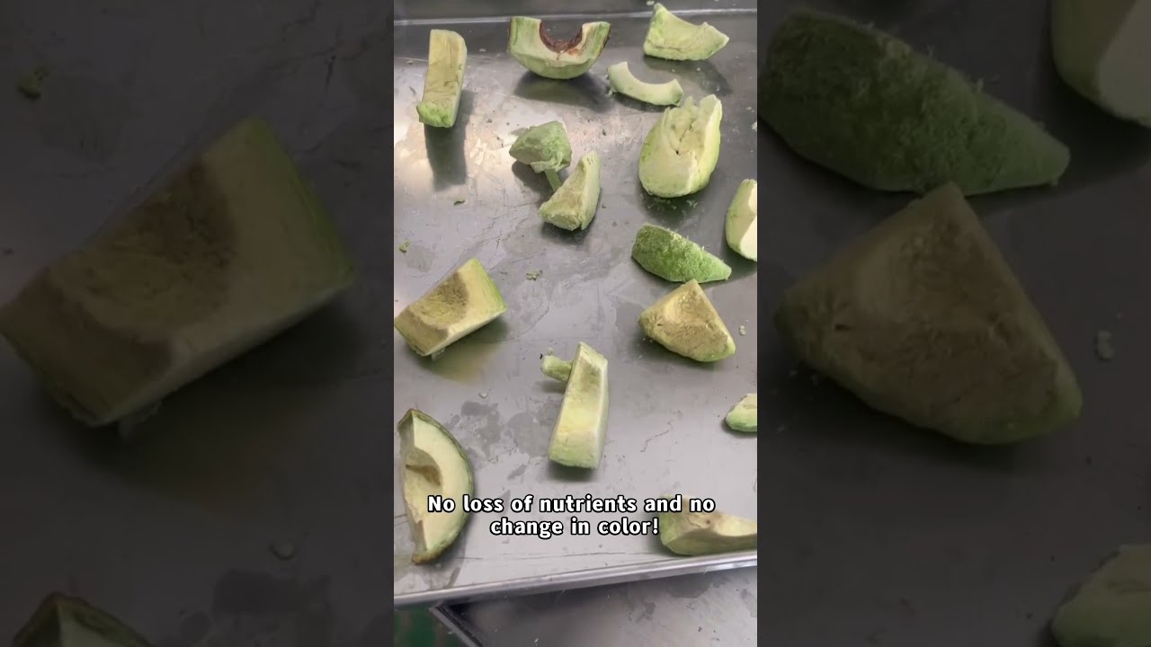  Freeze Drying Avocados In Out Of The Chamber Industrial Lyophilizer Action