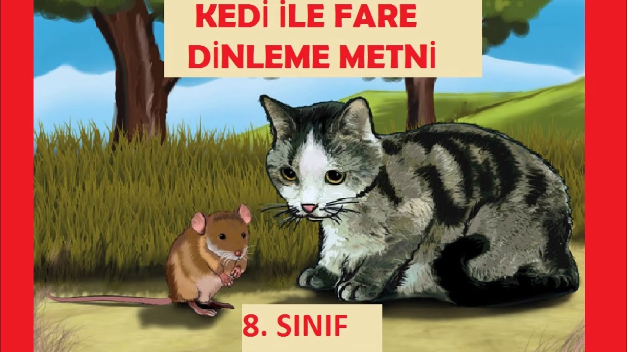 Kedi Ile Fare Dinleme Metni 8 Sinif Turkce Youtube