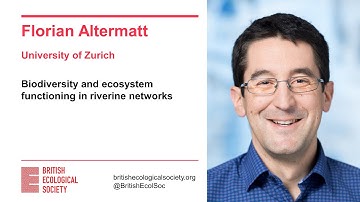 Ecology Live with Florian Altermatt - Biodiversity and ecosystem functioning in riverine networks