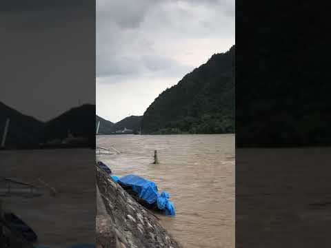 ライブ 長良 橋 カメラ 長良川