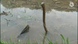 DJ Religi Allahumma Sholli Ala Muhammad | BY 69project #sumber | IM DEDI PROJECT🙏