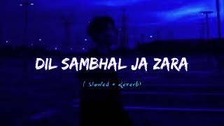 Dil Sambhal Ja Zara [ Slowed + Reverb ] Lofi Song Resimi