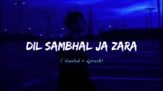 Dil Sambhal Ja Zara [ Slowed   Reverb ] Lofi Song