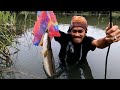 FISH HUNTING|SNAKEHEAD|DALAG|TRADITIONAL FISHING 🎣 TAAN