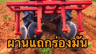 @yauyauchannel ผานแถกร่องมันสำปะหลัง กำจัดวัชพืชในร่อง ลดต้นทุน ep.94/yauyau channel