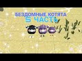 Бездомные котята в чикен ган! (5 часть)