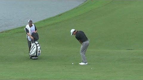 Wes Roach makes great chip shot at Web.com Tour Championship