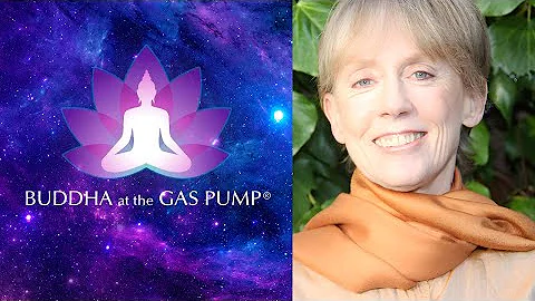 Sally Kempton - Buddha at the Gas Pump Interview