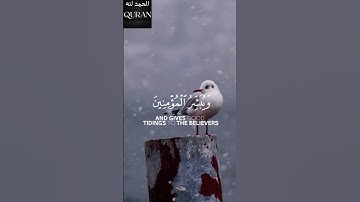 [ان هذا القران يهدي للتي هي اقوم ويبشر ] _ القارئ ناصر القطامي _  #اكسبلور #المصحف
