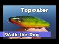 Making a Walk-the-Dog Topwater Lure #topwater #walkthedog #makinglures