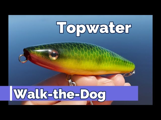 Making a Walk-the-Dog Topwater Lure #topwater #walkthedog #makinglures 