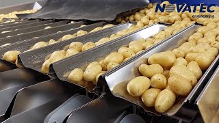 Novatec S.A. - Washing, Weighing & Packing Line for Baby Potatoes