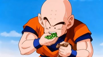 Why Everyone LOVES the Senzu Beans
