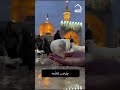 دعاء الصباح علي الكعبي Shorts 