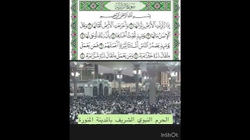 سورة الزلزلة قراءة الشيخ عبدالله البعيجان