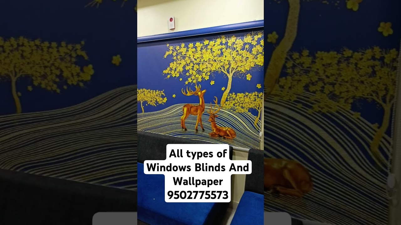 All types of Windows Blinds And Wallpaper