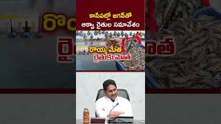 జగన్తో ఆక్వా రైతుల సమావేశం | Aqua Farmers Meet with YS Jagan | NTV Telugu