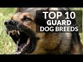 TOP 10 GUARD DOGS FOR FAMILIES - Best Puppy Breed To Protect Family And House