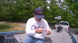 Bluegill/Redear drop shot setup