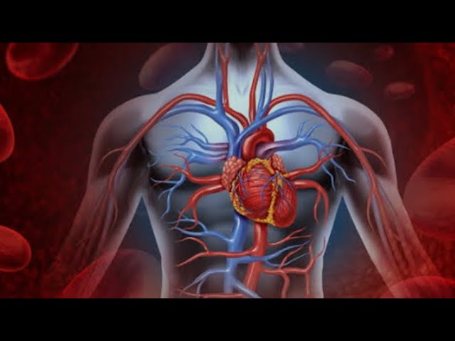 Поражение сосудов при сахарном диабете 2 типа #сахарныйдиабет #сосуды #холестерин