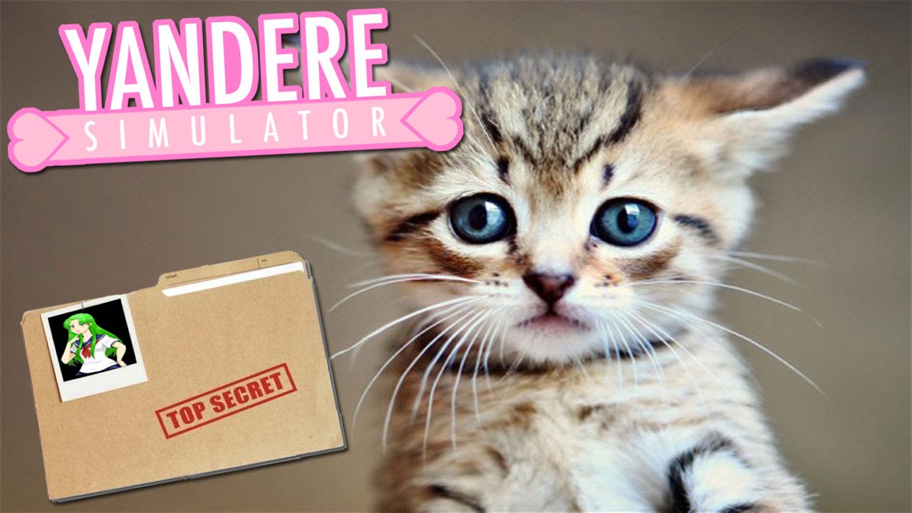 Yandere pet. The Yandere Pet Cat is overly domineering. Killing Kittens. Kitty Killer.