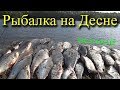 Рыбалка на Десне 2019.  Хороша Чертовка