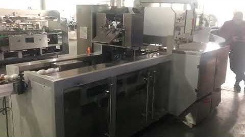 YL-300 High speed continuous cartoning machine for bottle (bottle Cartoner )