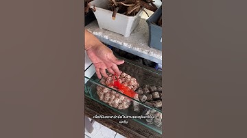 รีวิวกรองบน 36“ ของทางร้านรุ่นล่าสุด